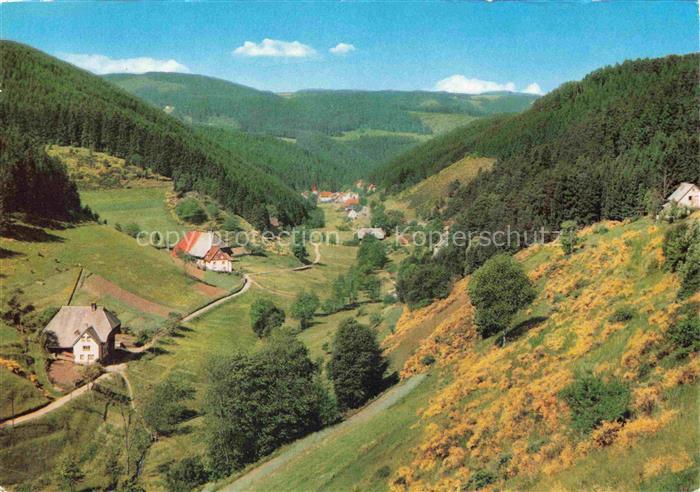 Nussbach Ortenau Panorama Nussbachtal Schwarzwald