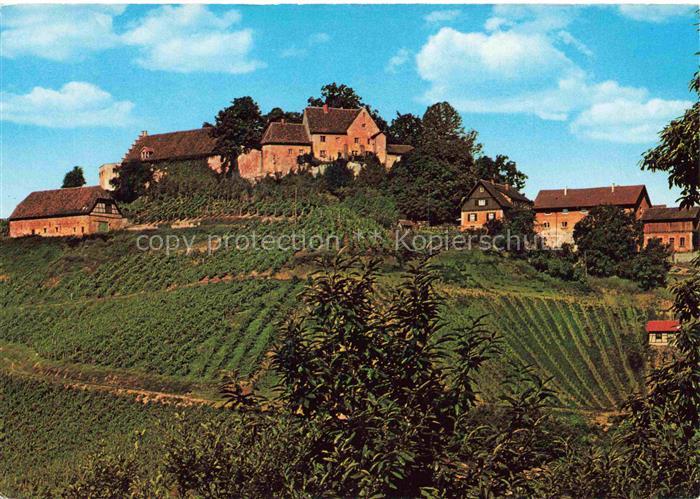 Durbach Schwarzwald Offenburg Schloss Staufenberg Weinberg