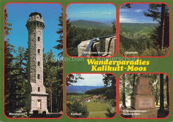 Moos Kalikutt Oppenau Ortenaukreis BW Panorama Wanderparadies Moosturm Aussichts