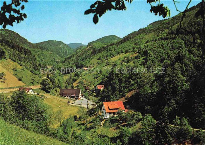 Lierbach Oppenau BW Panorama Gasthof Pension Maierhof Schwarzwald