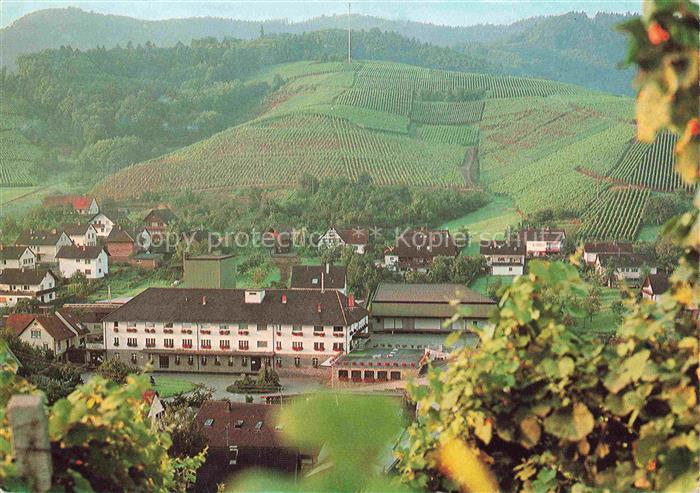 Durbach Schwarzwald Offenburg Panorama Winzergenossenschaft eG Weinberge