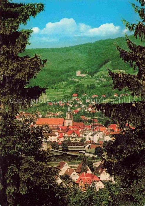 Oberkirch Baden Panorama Blick ins Tal Ansicht vom Waldrand aus