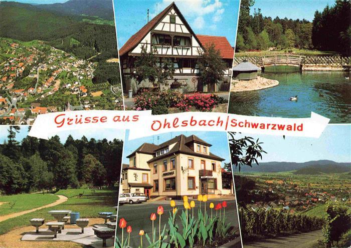 Ohlsbach Kinzigtal BW Panorama Luftaufnahme Gasthof Pension zum Rebstock Park