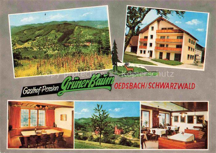 Oedsbach Oberkirch Baden BW Panorama Gasthof Pension Gruener Baum Gastraum