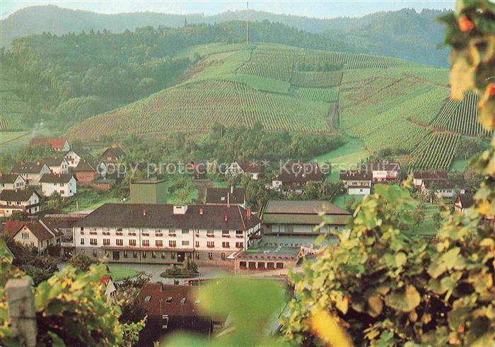 Durbach Schwarzwald Offenburg Panorama Winzergenossenschaft eG Weinberge