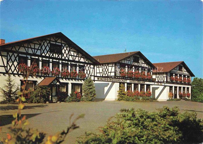 Sasbachwalden Achern Ortenaukreis BW Winzergenossenschaft