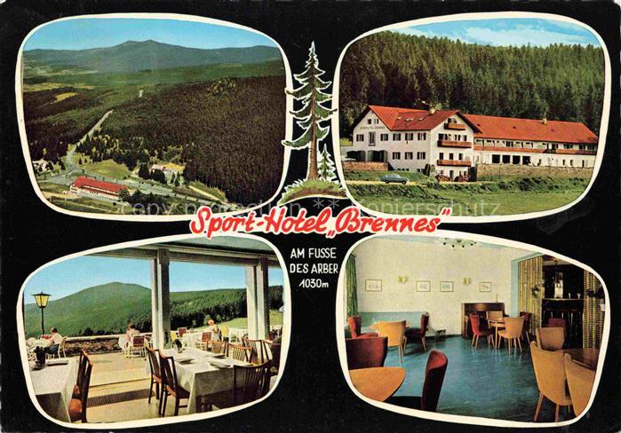 Brennes Bayerisch Eisenstein Panorama Sport Hotel Brennes Terrasse Gastraum