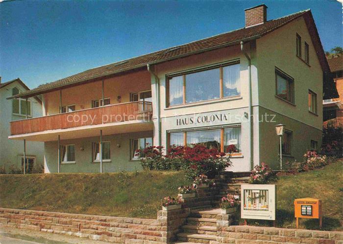 Oppenau Ortenaukreis BW Pension Haus Colonia