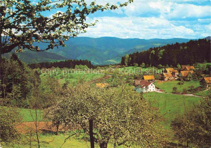 Oppenau Ortenaukreis BW Panorama Gasthaus Kalikutt Schwarzwald