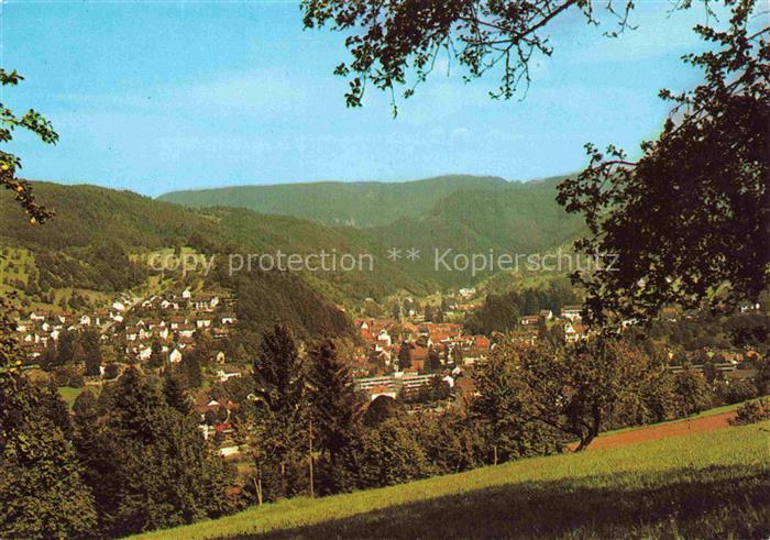 Oppenau Ortenaukreis BW Panorama Luftkurort im Renchtal