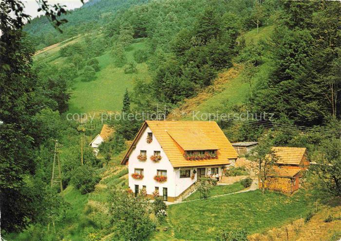 Lierbach Oppenau BW Gaestehaus Pension Haus Spitzfelsen