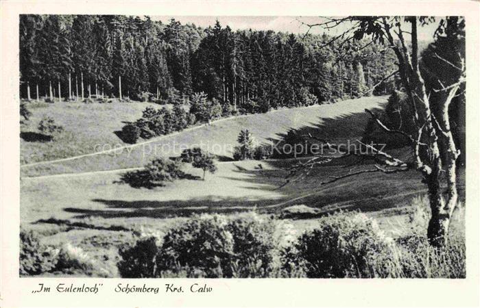 Schoemberg  Schwarzwald Calw BW Im Eulenloch