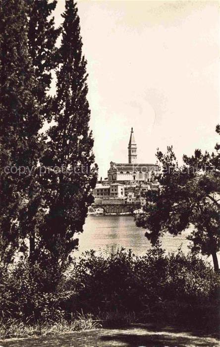 Rovinj Rovigno Istrien Croatia Otok Caterine Insel