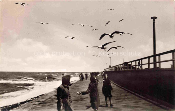 NORDERNEY Nordseebad Strandpromenade Moewen