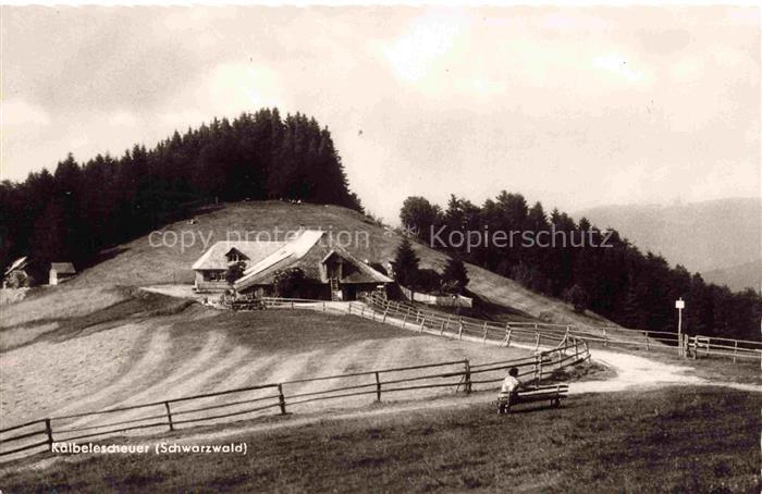 Muenstertal  Schwarzwald Almwirtschaft Kaelbelescheuer
