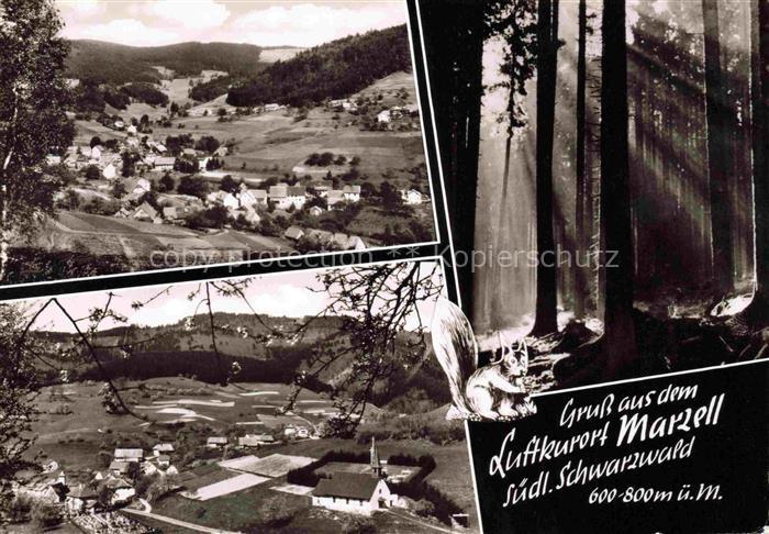 Marzell Malsburg-Marzell Kandern BW Panorama Schwarzwald Waldspaziergang Eichhoe