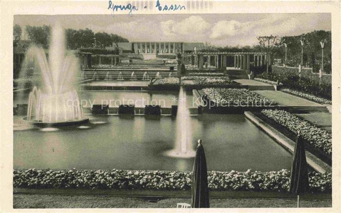 GRUGA Ausstellungspark EssEN Ruhr Wasserterasse Pergolagarten Rosenanlage Rosenc