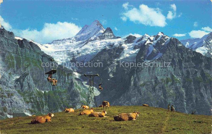 Sessellift Chairlift Telesiege Grindelwald First Bahn