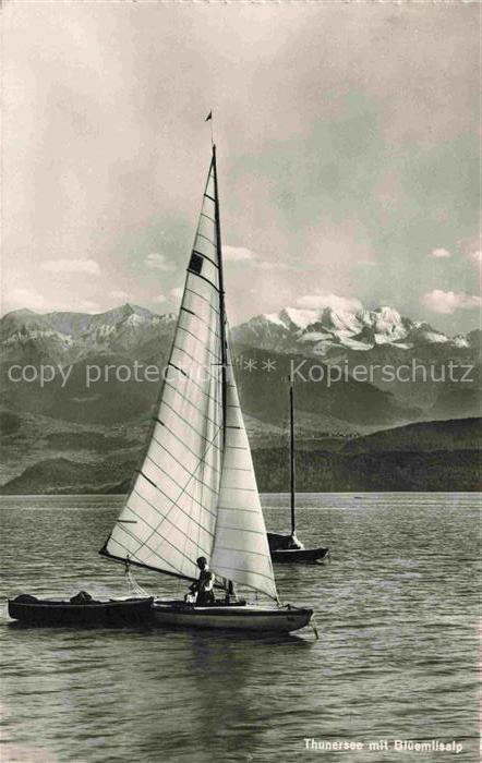 Segelboote Segelschiffe Sailing Voile Vela-- Thunersee Bluemlisalp