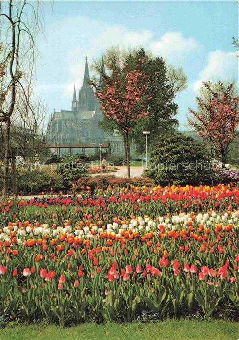 BUGA Bundesgartenschau Koeln Blumenrabatten Haupteingang Dom
