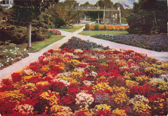 IGA Gartenbauaustellung International Erfurt Bunter Blumenbeet Nemesia