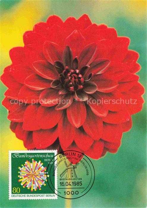 BUGA Bundesgartenschau Berlin Blumenzwiebeln Grossversand