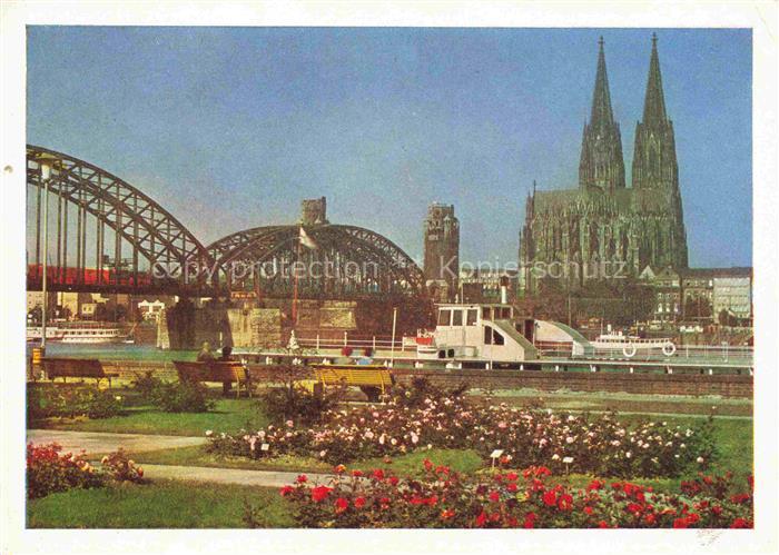 BUGA Bundesgartenschau Koeln Rosen am Rhein Dom