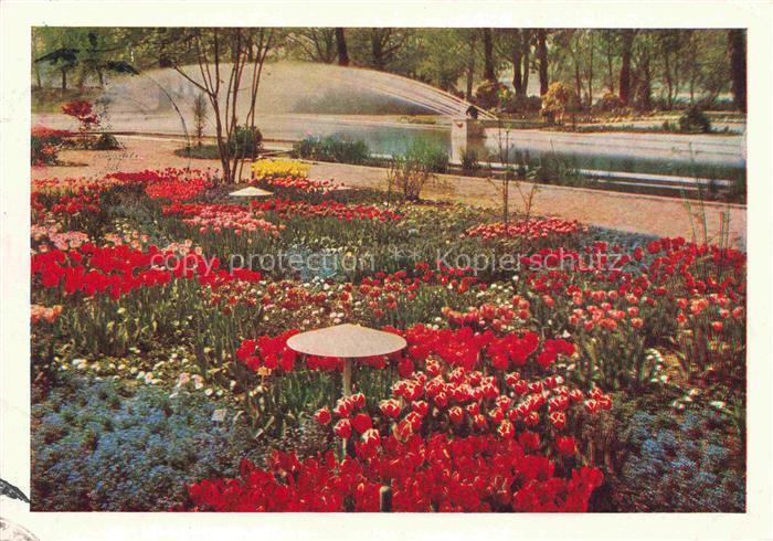 BUGA Bundesgartenschau Koeln Wasserspiel Blumenhof