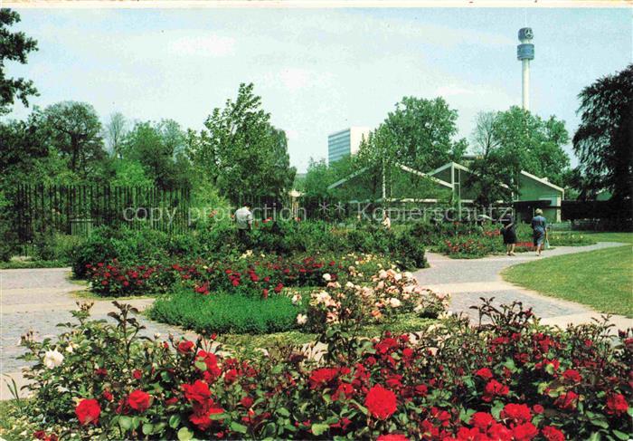 BUGA Bundesgartenschau Karlsruhe Rosengarten Nancyhalle