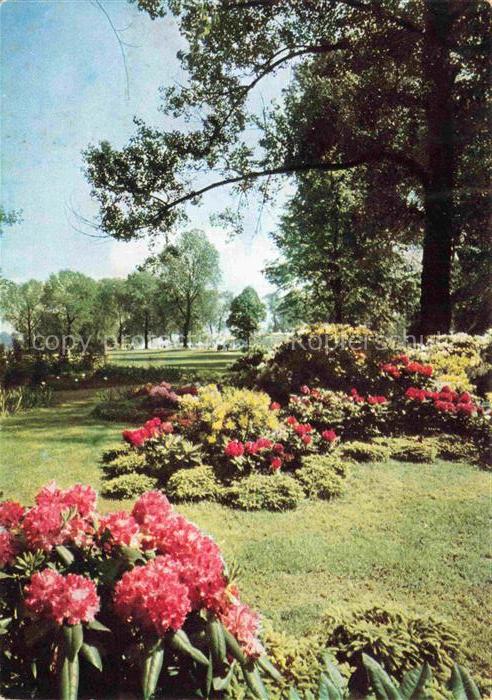 BUGA Bundesgartenschau Koeln Idyll am Rhododendronhain