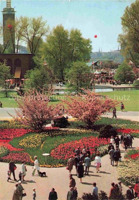 BUGA Bundesgartenschau Koeln Messeturm