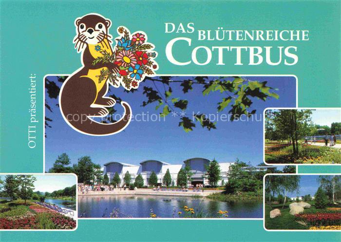 BUGA Bundesgartenschau Cottbus Blumenimpressionen