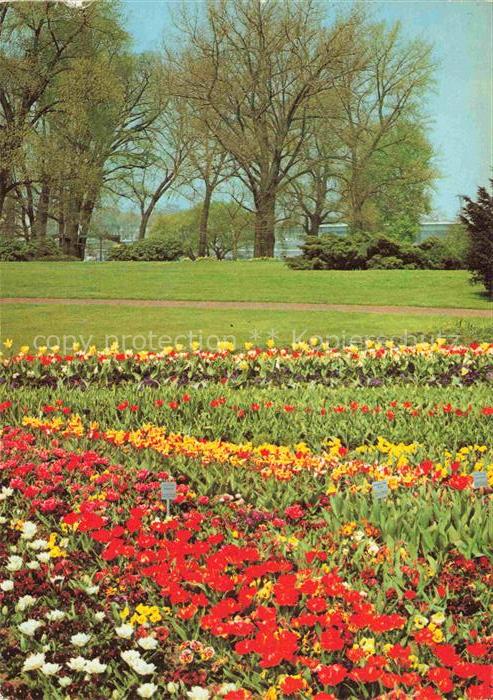BUGA Bundesgartenschau Koeln Bluetenpracht Tanzbrunnen