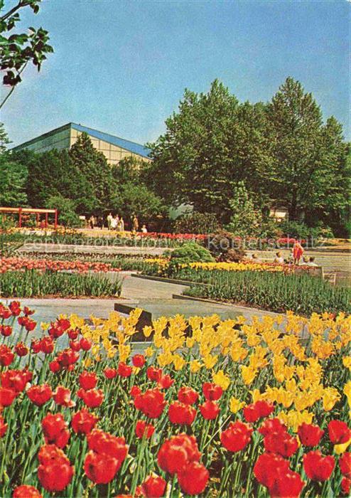 BUGA Bundesgartenschau Essen Farbenstrasse