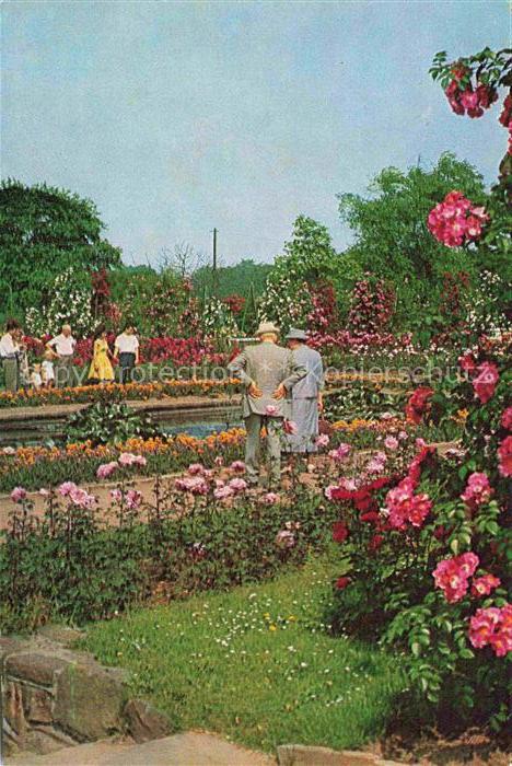 BUGA Bundesgartenschau Essen Rosengarten