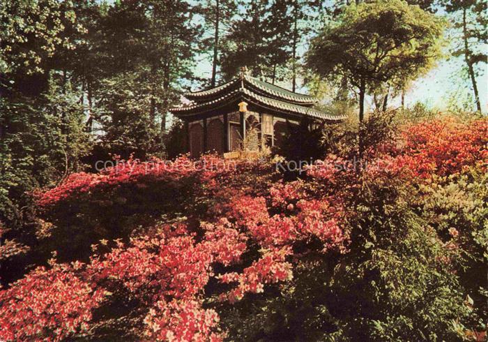 BUGA Bundesgartenschau Dortmund Teehausgarten Morgenlicht
