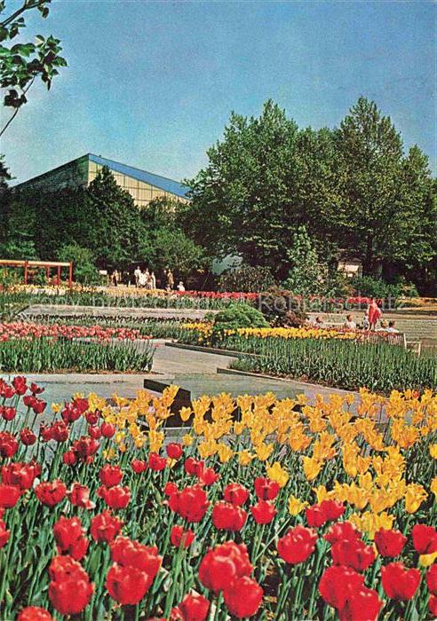 BUGA Bundesgartenschau Essen Farbenterrassen