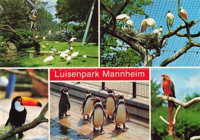 BUGA Bundesgartenschau Mannheim Luisenpark Vogelparadies