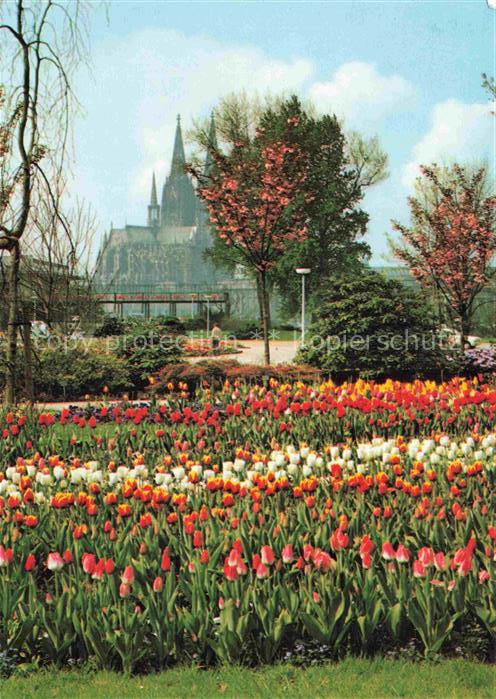 BUGA Bundesgartenschau Koeln Haupteingang Dom Blumenrabatten