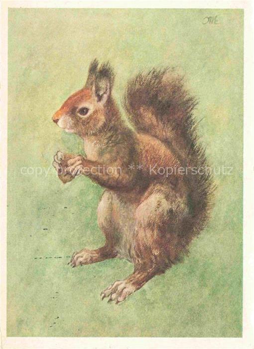 BUGA Bundesgartenschau Karlsruhe Eichhoernchen Kurt Meyer Eberhardt Tierkalender