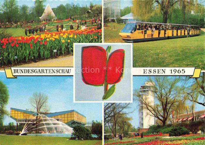 BUGA Bundesgartenschau Essen Bahn Tulpen Aufsicht tuerm