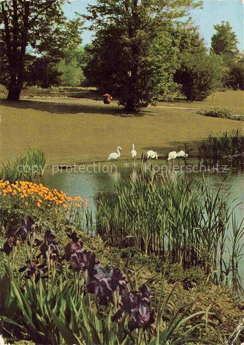 BUGA Bundesgartenschau Dortmund Seerosenteich Schwaene