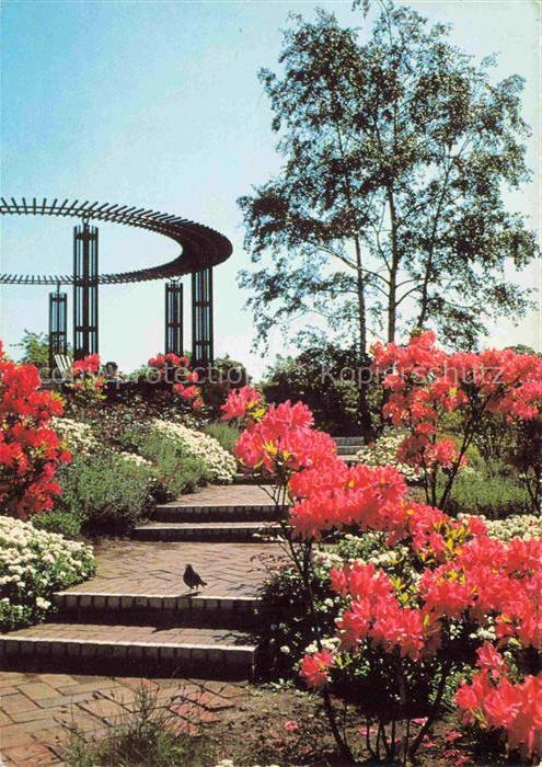 PLANTEN UN BLOMEN Ausstellungspark HAMBURG Stufen zur Ritterspornhuegeln