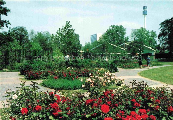 BUGA Bundesgartenschau Karlsruhe Rosengarten nancyhalle