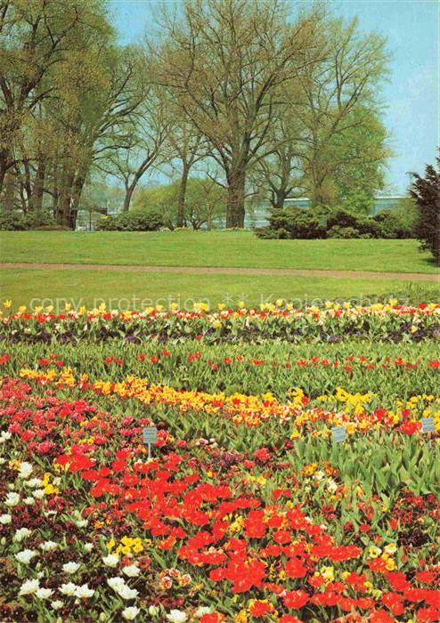 BUGA Bundesgartenschau Koeln Tanzbrunnen Bluetenpracht