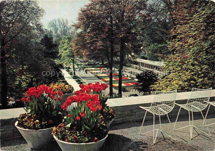 IGA Gartenbauaustellung International Schweiz Zuerich Linkes Ufer Blumenteppich