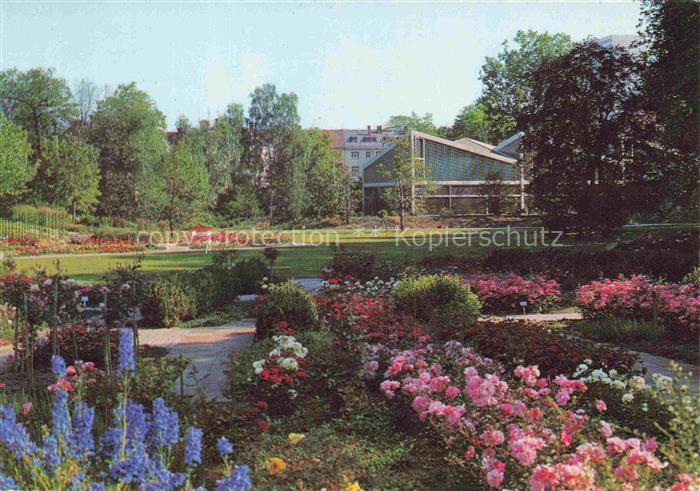 BUGA Bundesgartenschau Karlsruhe Rittersport Rosen Morgenlicht