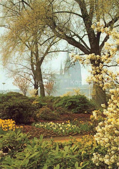 BUGA Bundesgartenschau Koeln Fruehlingszauber am Rhein