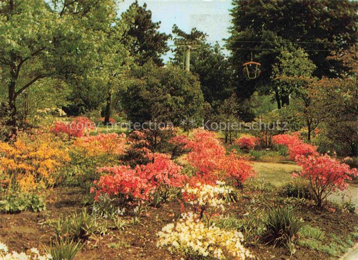 BUGA Bundesgartenschau Dortmund Azaleen Garten Sesselbahn