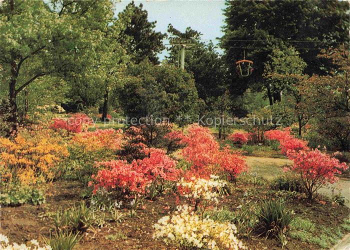 BUGA Bundesgartenschau Dortmund Azalee Garten Sesselbahn
